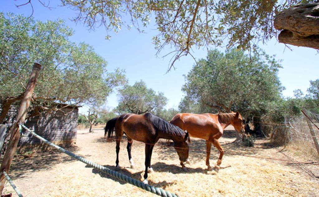 Borgo Pida Ξενοδοχείο Paceco Εξωτερικό φωτογραφία